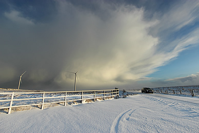 Snow Landscape Gallery